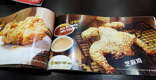 餐饮画册