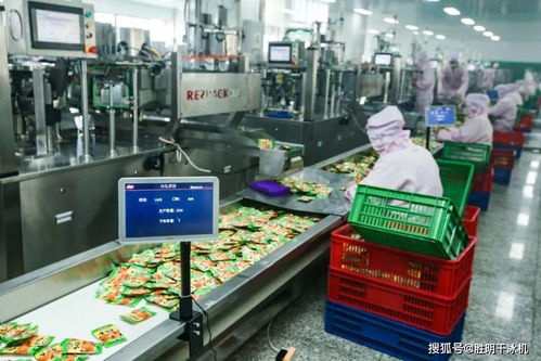 干冰清洗机如何在食品饮料行业应用