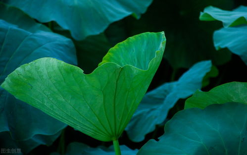 餐饮经营中的核心价值观 你践行了几条?