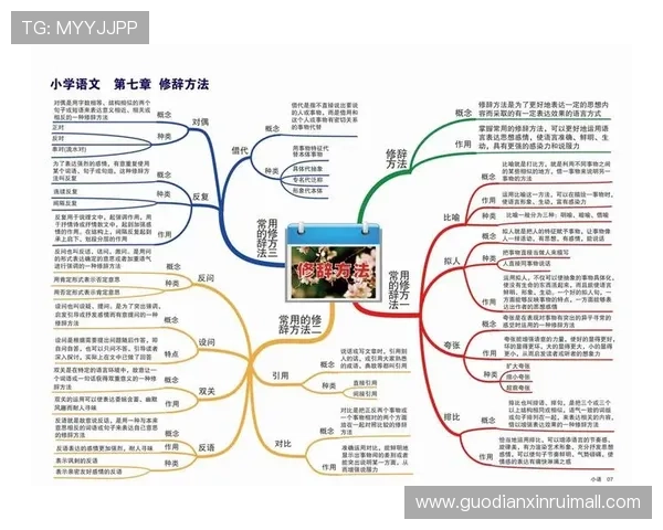 全面解析射箭比赛规则与评分制度让你轻松掌握比赛流程与技巧 全面解析射箭比赛规则与评分制度让你轻松掌握比赛流程与技巧