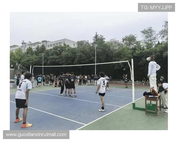 排球爱好者必备装备推荐打造完美比赛体验与训练效果 排球爱好者必备装备推荐打造完美比赛体验与训练效果