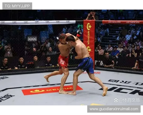 深入擂台内外探秘MMA格斗明星的荣耀之路与血汗人生